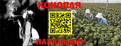 spice Канаш