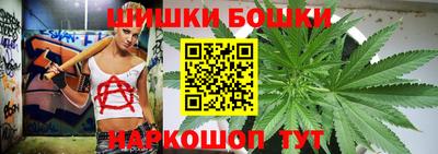 индика Кудымкар