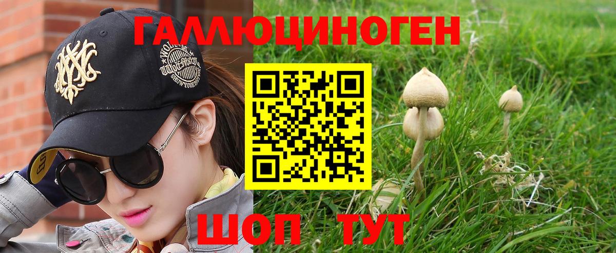 Владимир  Галлюциногенные грибы мицелий  Вход с VPN 